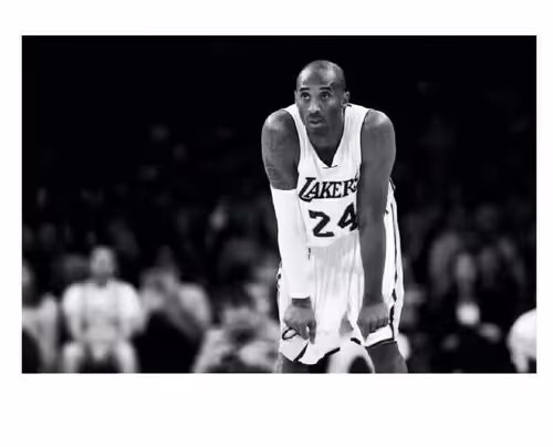 Untitled Collection #62125447