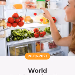 84967509520196306123188380026293221301468344843151761076076916598020232970241