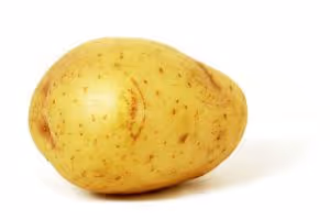 Item #8836794722007363937422950394870005954555983458170091032383071305965942865921 Media