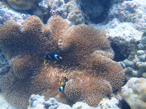 Untitled Collection #28126711