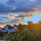 Sunsetz 
