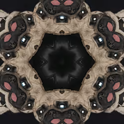 pug Judi