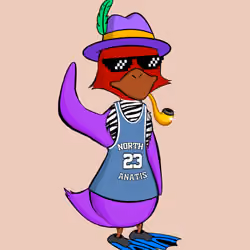 Sigh Duck #1223