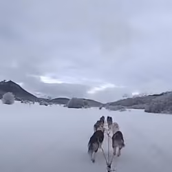 Sled