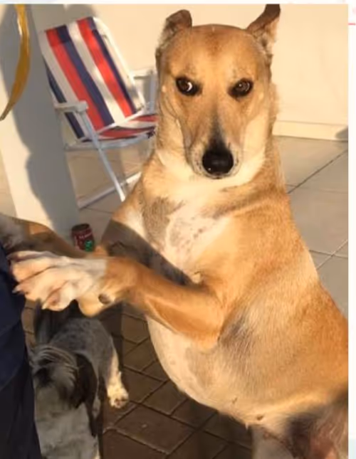 Item #94951261657889433440640425402549201589337916954067992377958453689574496403457 Media