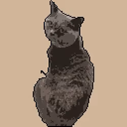 AngryCat Roni 02
