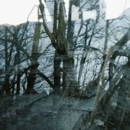 Item #46677297122039031221449977847173365421667821442589389250428357164793713393665 Media