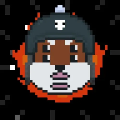 Rocket Shiba #106