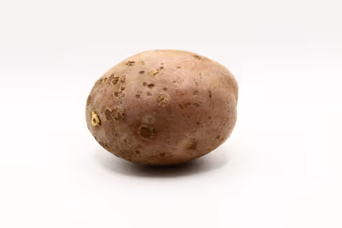 Item #97726151104522163495278545296769301934737660224123995419035737085006579761153 Media