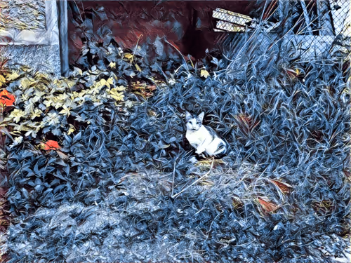 Item #46397680814911453718365897270123246439130732684861044295736256045129295462401 Media