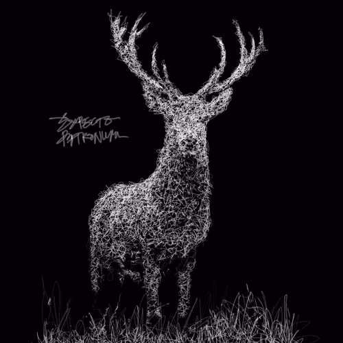 Item #20286817641922993541065929101952433978531825078991625494647867399683822321665 Media