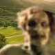 41491634235341230112955466234263199860519464866862327535312451287870670372865