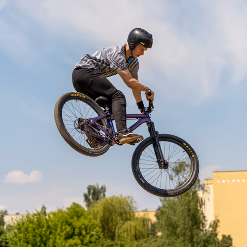 Untitled Collection #244753618