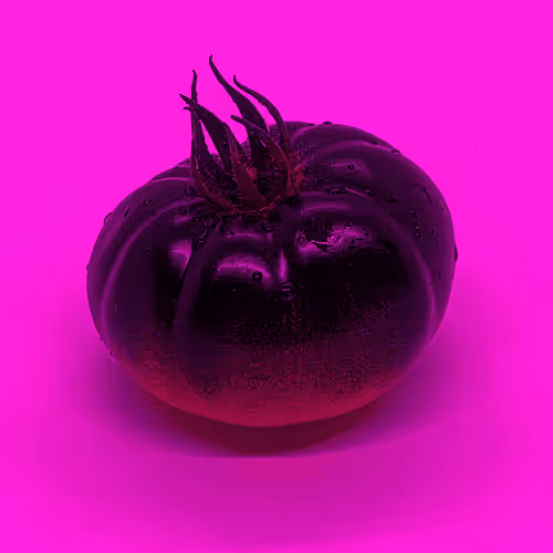 Item #110692649264369377071495627220392981109400302920527361961030166678876253585409 Media