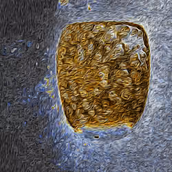 Fluxus Commentarius - Type 1 - #540