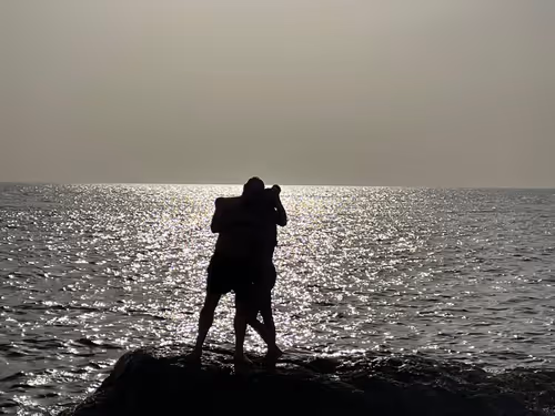 Untitled Collection #98526258