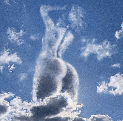 Item #81597519308630991482311256060908992072322907054894614556350516955216491839489 Media