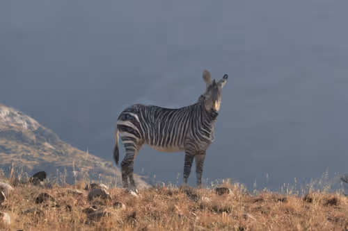 11276162529628641556553056529614973332754405277106184420845744808017893785601