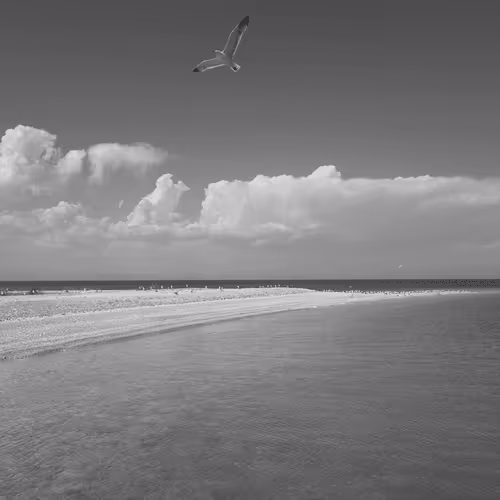 Item #107742627867956892364714120184147413803821811265510288122929724877349687656449 Media