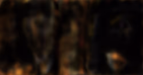 Item #57095011722393185027044975098400540542402288275203340013689530212568648384513 Media