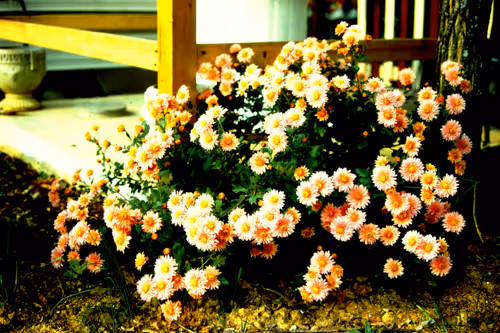 Item #113047771030127017240919341709485116586684509374101894410877815086565740773377 Media