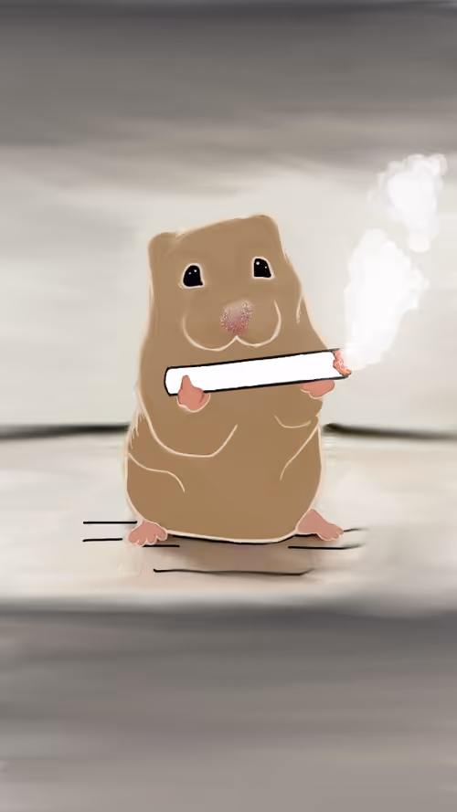 Item #12305488049734324326249568881250765597677948047074090980306501174761338437633 Media