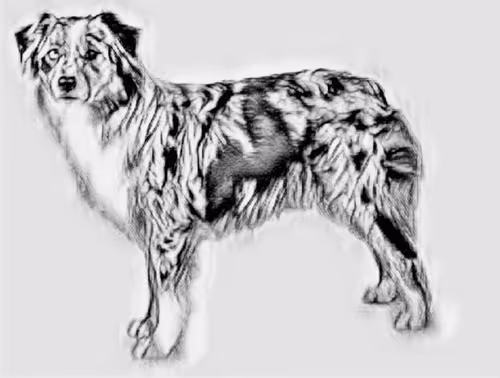 Item #23143313246472061328071561115701105421589606567298838424350448139041964556289 Media