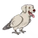 47055084319643417660550440966475414647413753718948486243302708112812603867156