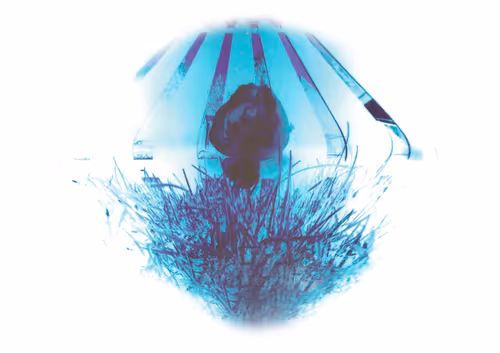 Item #70130506917171085326048654269517297216443038678095612657418093323900629811210 Media