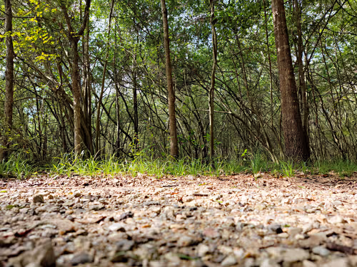 Item #107060658238608786728098093572843929630917480642819162309571408049335055679538 Media