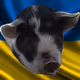 53180631642456764738139299674940583640479914081960747744151194858114493972481