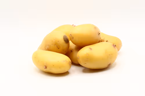 Item #97726151104522163495278545296769301934737660224123995419035737139982161149953 Media