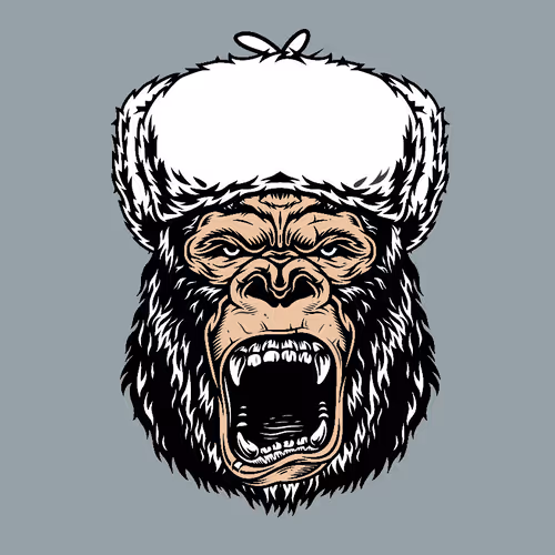 Item #69431971576743287198636060643176496045481255580707431388822704645912372707329 Media