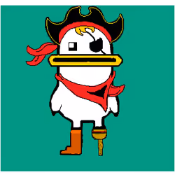 Animal 9. Duck