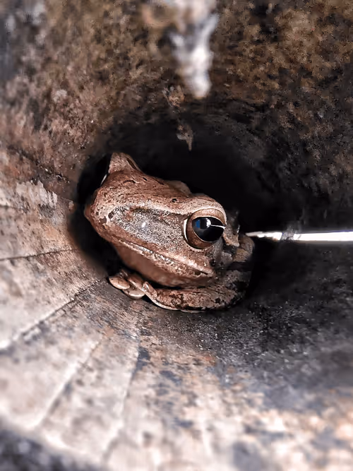 Item #108432430116039437497769170398403606579322061371426367389515976287617399390209 Media