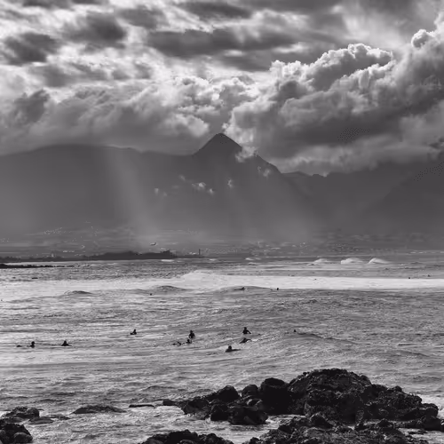 Item #16169064393399629467859942900905405490006492366557123064973208559233139736577 Media