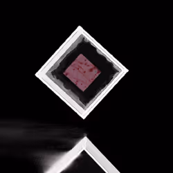 58306283000782837776762951348226041241131011135114358715021864991889008099329