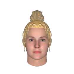 Video of expressions/ gestures combined simulation