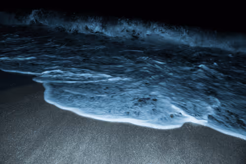 Item #65334289746679534718729475887804441956060191570096093289886828065190796328961 Media