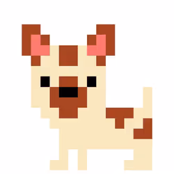 45625333162534813699736100268138213216658335464855955768339296262106789183489