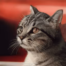 Item #12728629278494559756251794833628937884585760126872557783726729907797588180993 Media