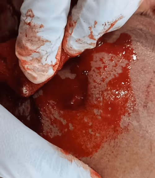 Item #67100036908272195691370307959493253727709016512605431392120687100047445196801 Media