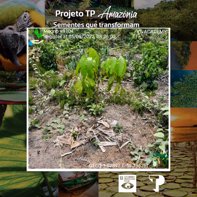 Item #8500196597889277390194123329501889087166328879864934763448349232734639489025 Media