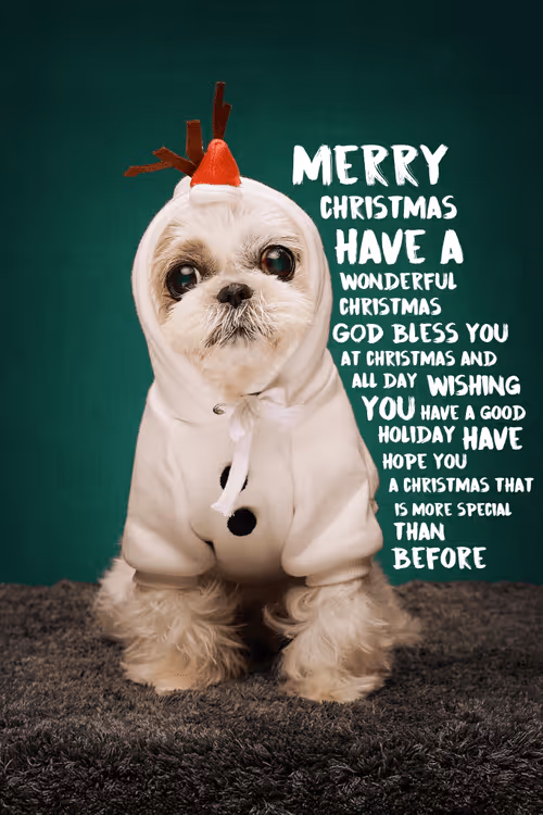 Item #8036610274517614856282005705215780499318604713549687172679363414812065267715 Media