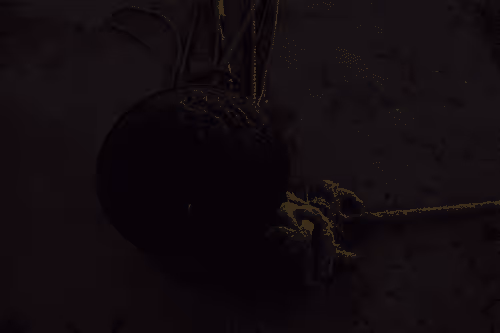 99206175731752603969632246751396839615347692654100145142238794219230223925249