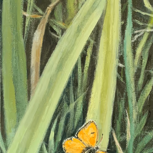 Item #72577463015560647120120510193448575277146741692858177696976393642650487488532 Media