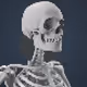 93874748194359598512446027087380783157028367463564443599832258217555253002241