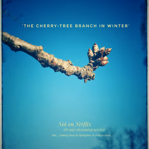 3787080761074609709675817509753112159059746763483256848434353507218873122817