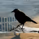 115196338759296951364335223282694423674903106520898166738440391268541248045057