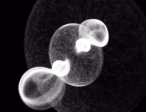 Item #33041937739864667322348918548996413292196435474385485539083958932888168169482 Media